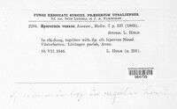 Sporormiella vexans image